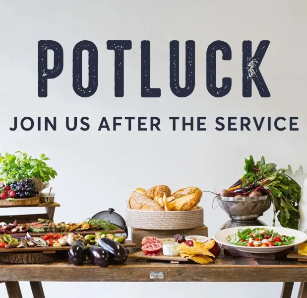 POTLUCK_PROJECTOR_BLANK
